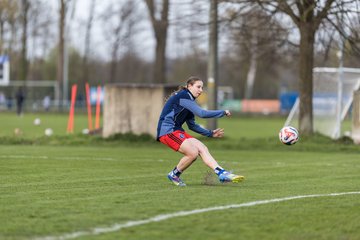 Bild 164 - wBJ Hamburger SV - Eimsbuettler TV : Ergebnis: 4:0